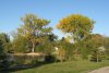 Am Plum Coulee Lake.jpg