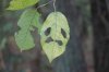 DSC_0193a.jpg