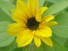 Bild4 018.jpg