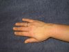 rh_sany3787_1.jpg
