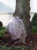 100_0418.jpg 100_0418.jpg