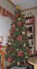 Weihnachtsbaum2008.jpg