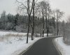 StraÃŸe im verschneiten Winterwald.jpg