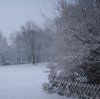 Schnee 2009 012 600X597.jpg