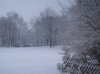 Schnee 2009 014 600X449.jpg