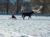 100_0730.jpg
