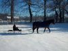 100_0735.jpg