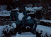 100_0336.jpg