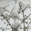 Schnee 2009 019.JPG