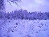 IMG_2417.jpg