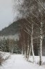 Winter 2008 254.JPG