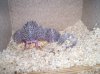 100_1186.jpg
