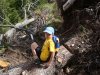 DSC00954.jpg