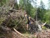 DSC00955.jpg