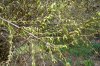 FrÃ¼hling 2009 010 600X400.jpg