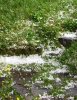 Hagel01.jpg