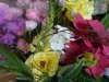 k-DSC01371.jpg