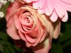 k-IMG_7291.JPG