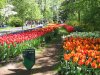 IMG_1320 Kopie.JPG