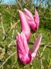 DSCN9053.JPG
