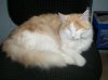 100_0074.jpg