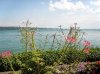 010 Mainau 450X337.jpg