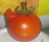 Tomate.jpg