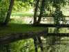 Graureiher am Schlossteich.JPG