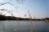 001 Reuschenberger See im MÃ¤rz.jpg