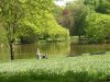 003 Stadtgarten im Mai.JPG