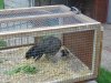 100_0422.jpg