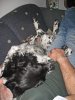 Maxl im Arm.jpg