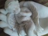 DSC00001.jpg