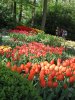 IMG_1363 Kopie.JPGGeb.JPG