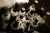 sei_Schnee_Flaschen_303418b.jpg