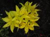 DSC00505.jpg