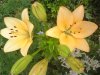 DSC00206.jpg