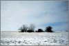 Winterlandschaft.JPG