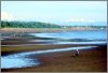 Strandleben und Schneegipfel.JPG