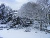 2010_01290019.jpg