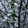 013 Schnee.jpg