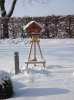 Winter 2010 001.jpg