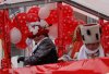 DSC02011a.jpg