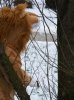 DSCF8580.jpg