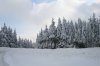 Harz 2010 269 600X400.jpg