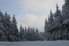 Harz 2010 273 600X400.jpg