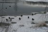 001 Ein kleiner See in Tschechien.JPG