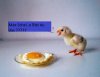 frohe_ostern-1.jpg