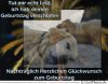 Geburtstag_Hund_74.jpg