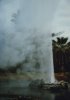 6OldFaithful Calistoga Californien.jpg